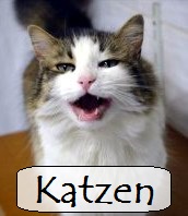 unsere Katzen